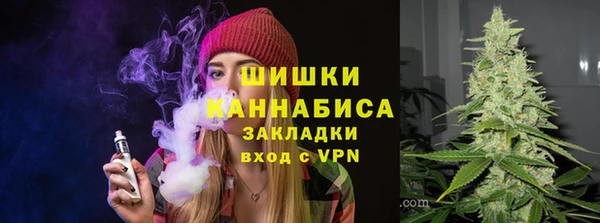 индика Балабаново